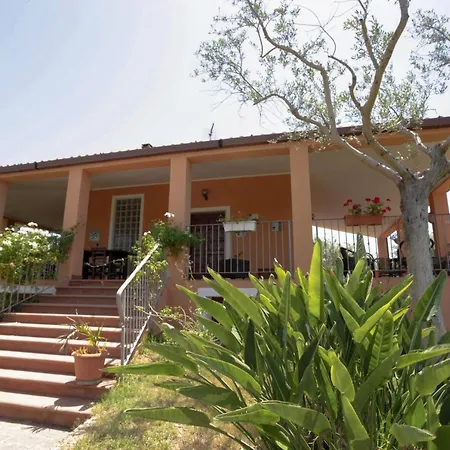 Marivessus * אלגהרו